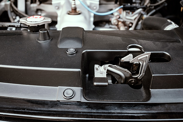 sealed subminiature micro switch in car hood lock