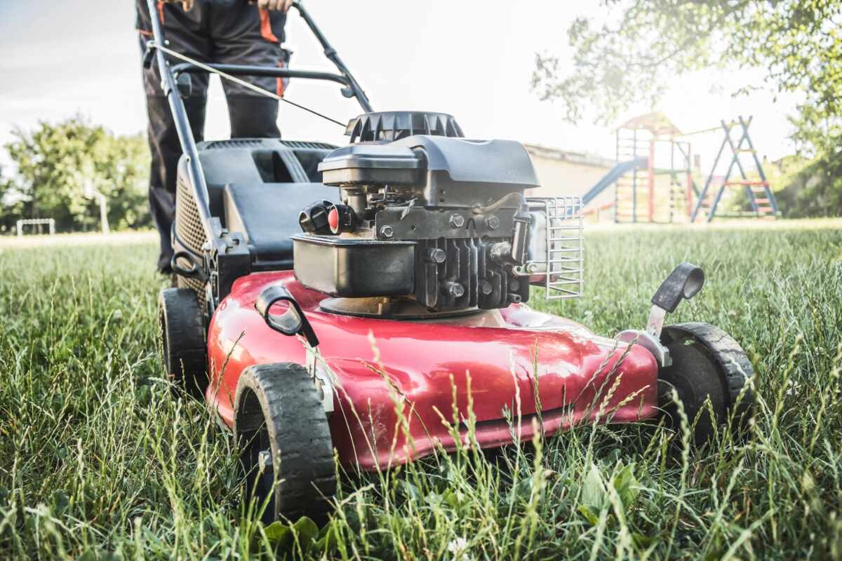 basic micro switch in lawn mower