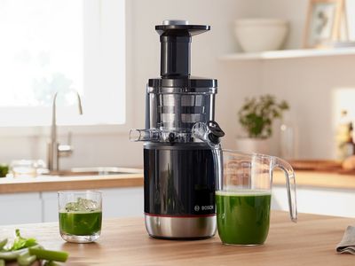 miniature micro switch in juicer