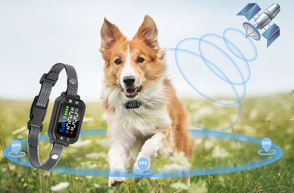 gps electric dog fence working