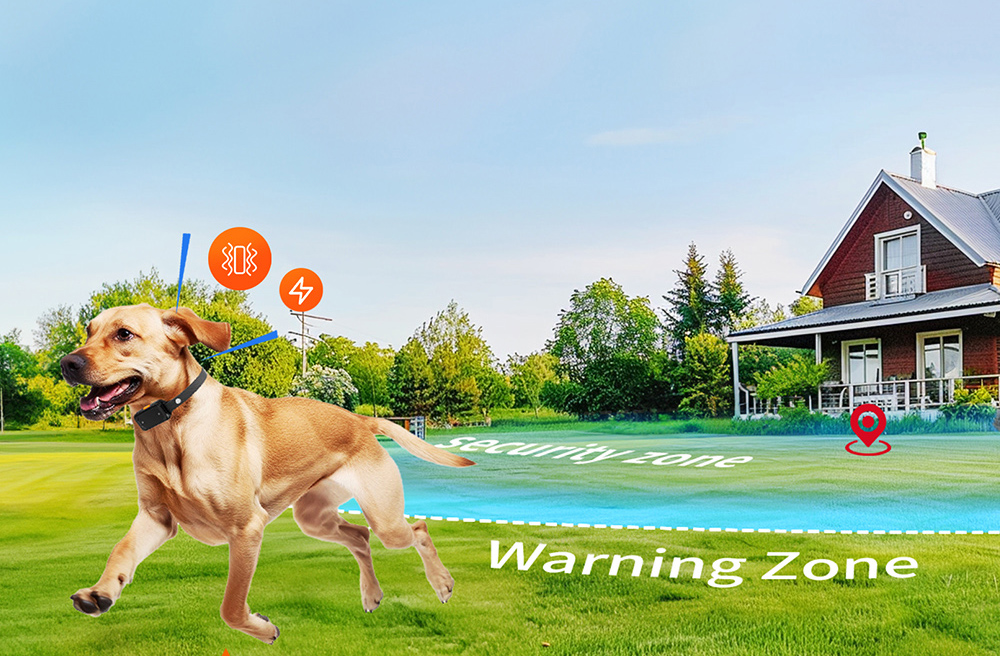 with wireless dog fence