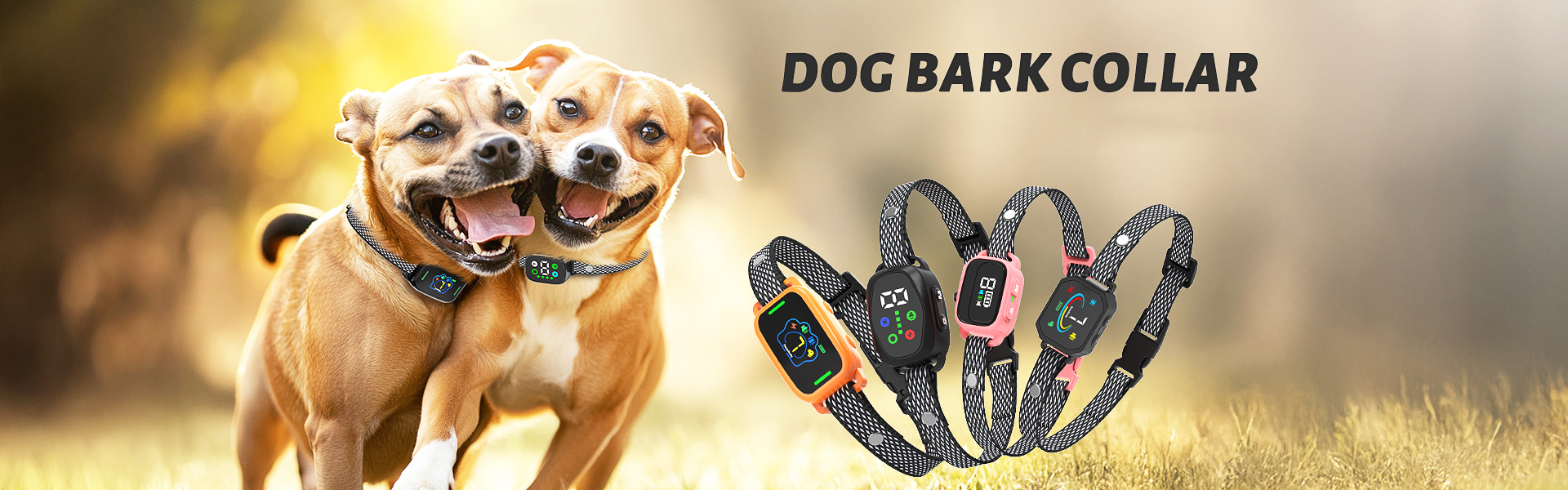dog bark collar