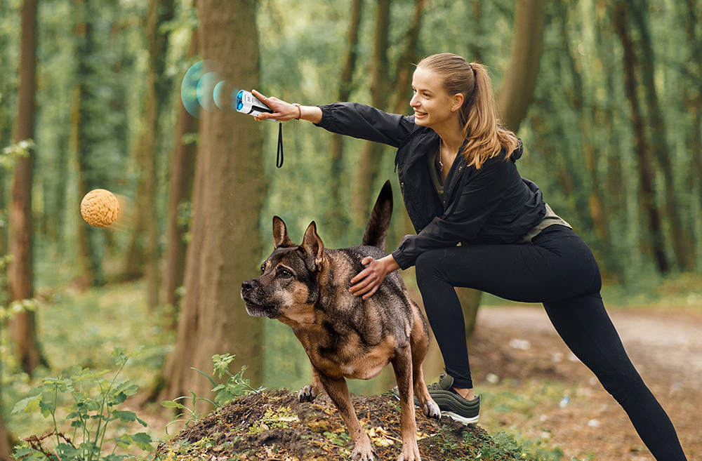 using an ultrasonic dog repeller