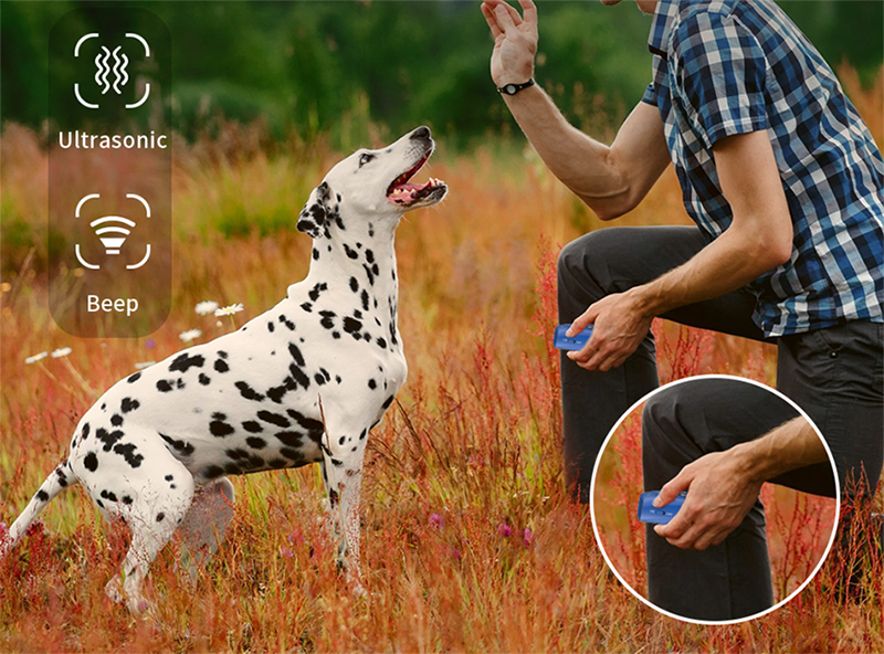 beep mode of an ultrasonic dog trainer