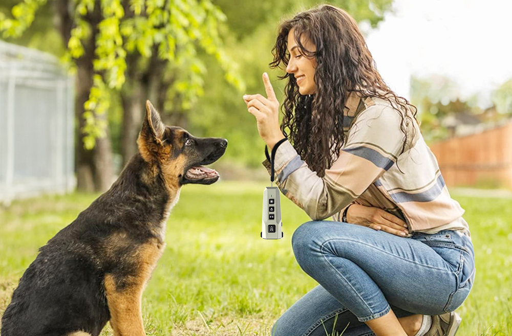 using handheld ultrasonic dog repeller