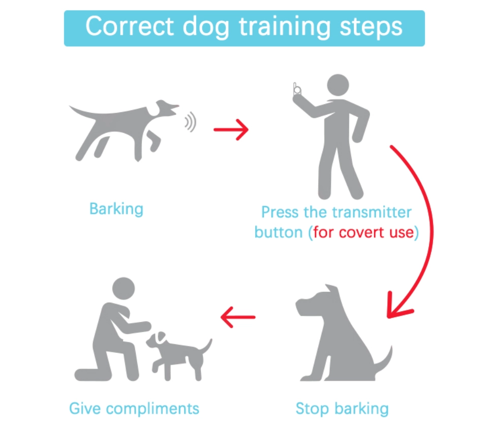 the training steps of remote dog training collar use