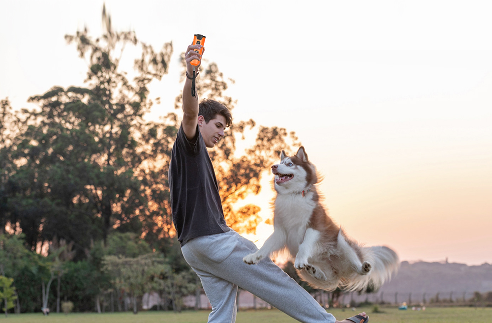 training a dog with ultrasonic dog trainer
