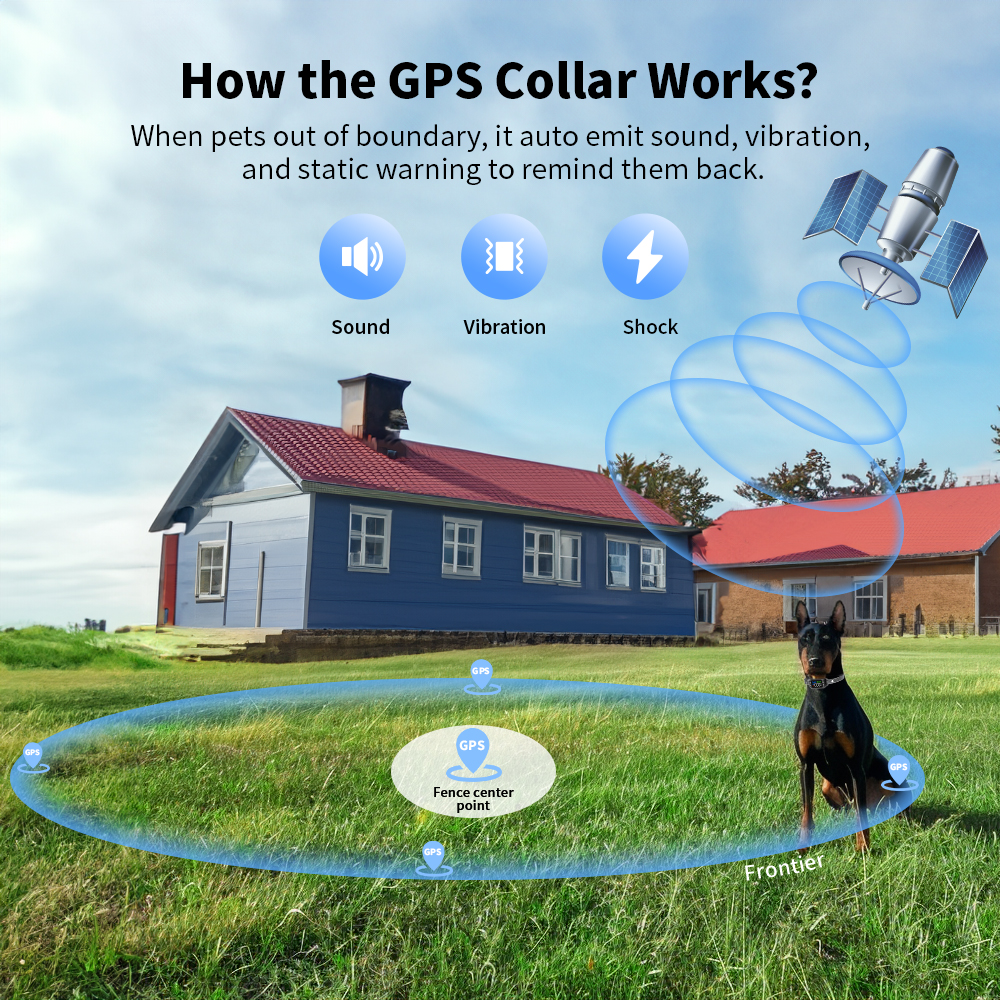 how the GPS collar works?