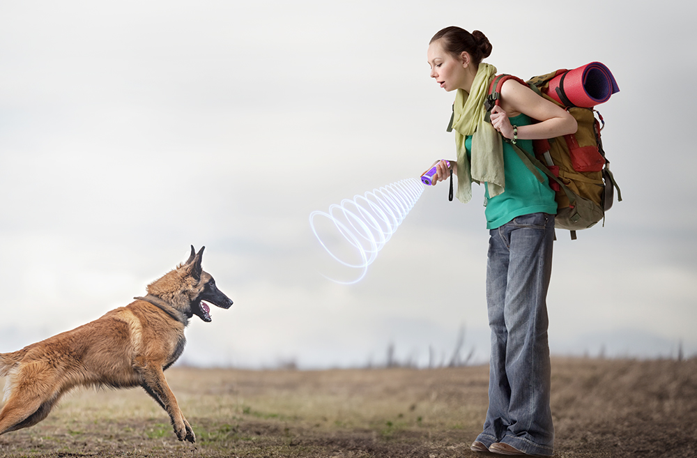 use the ultrasonic dog repeller