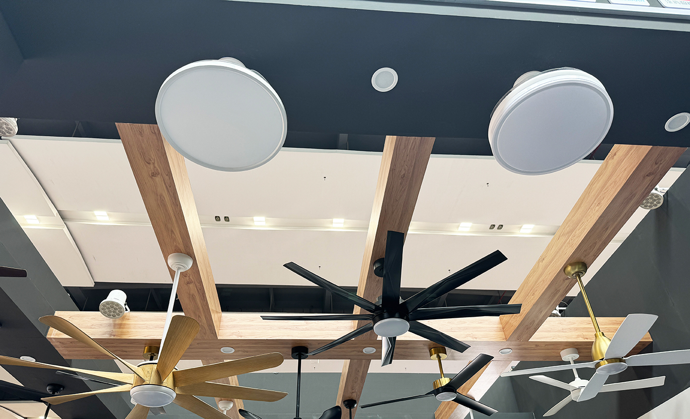 Retractable blade ceiling fans