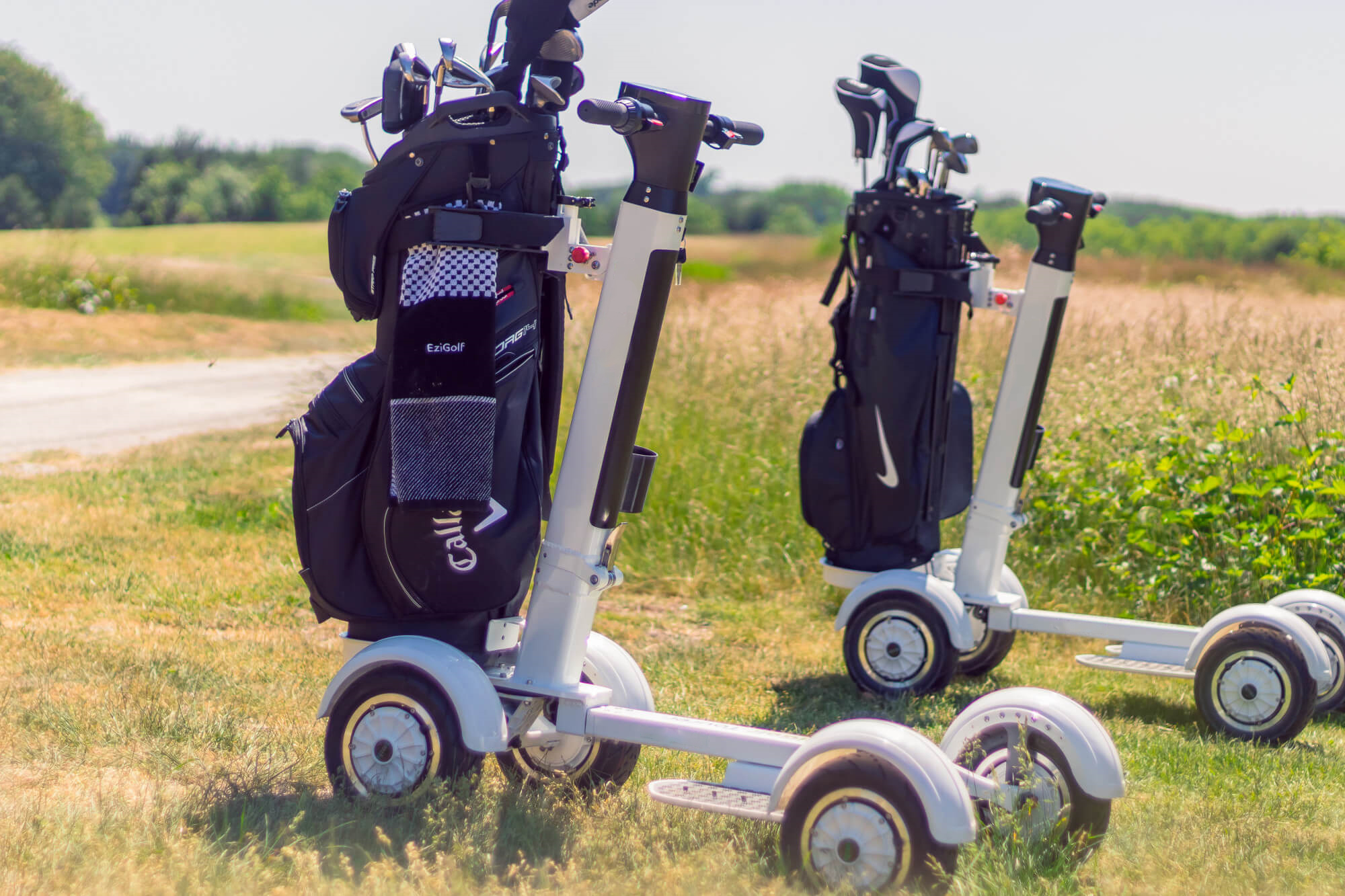 Eswing M12-1 Golf Mobility Scooter