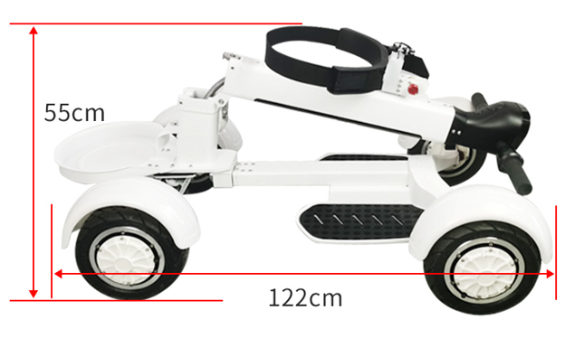 Golf Cart Motor