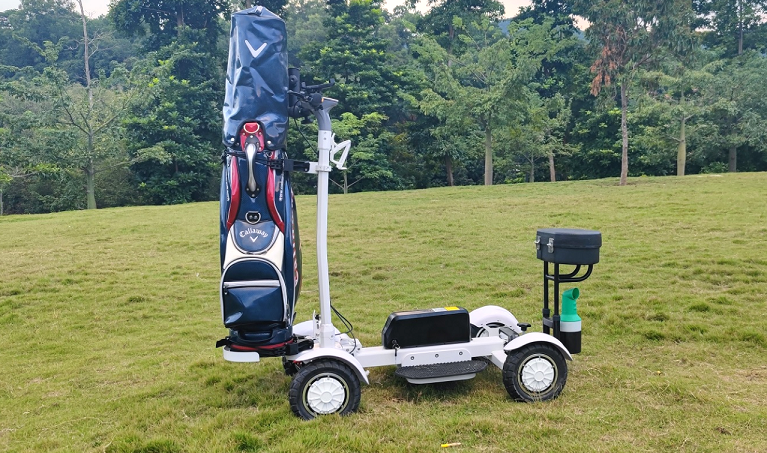Eswing 4 wheel drive electric golf cart
