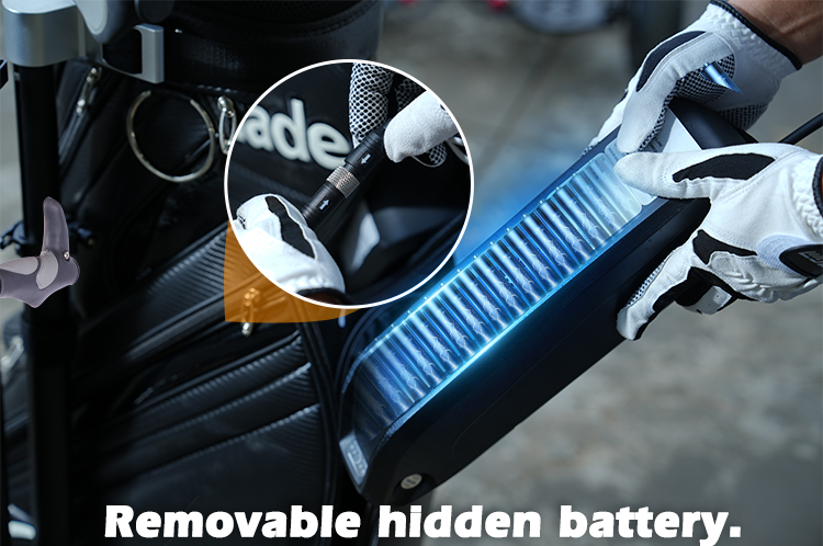 Swappable battery