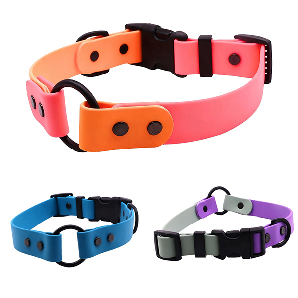 safe dog collar