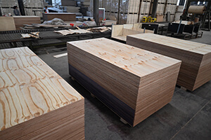 leader cd sturctural pine ply untreated