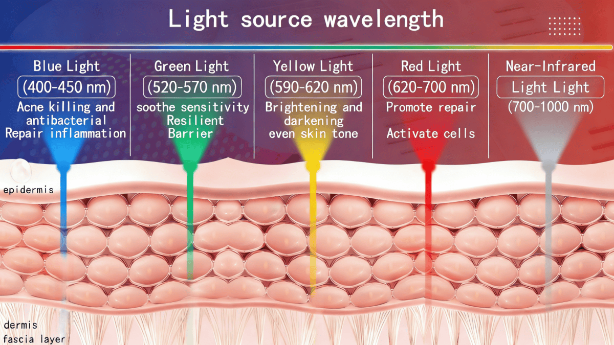 Diagram showing the different skin layers affected by different types of LED light.