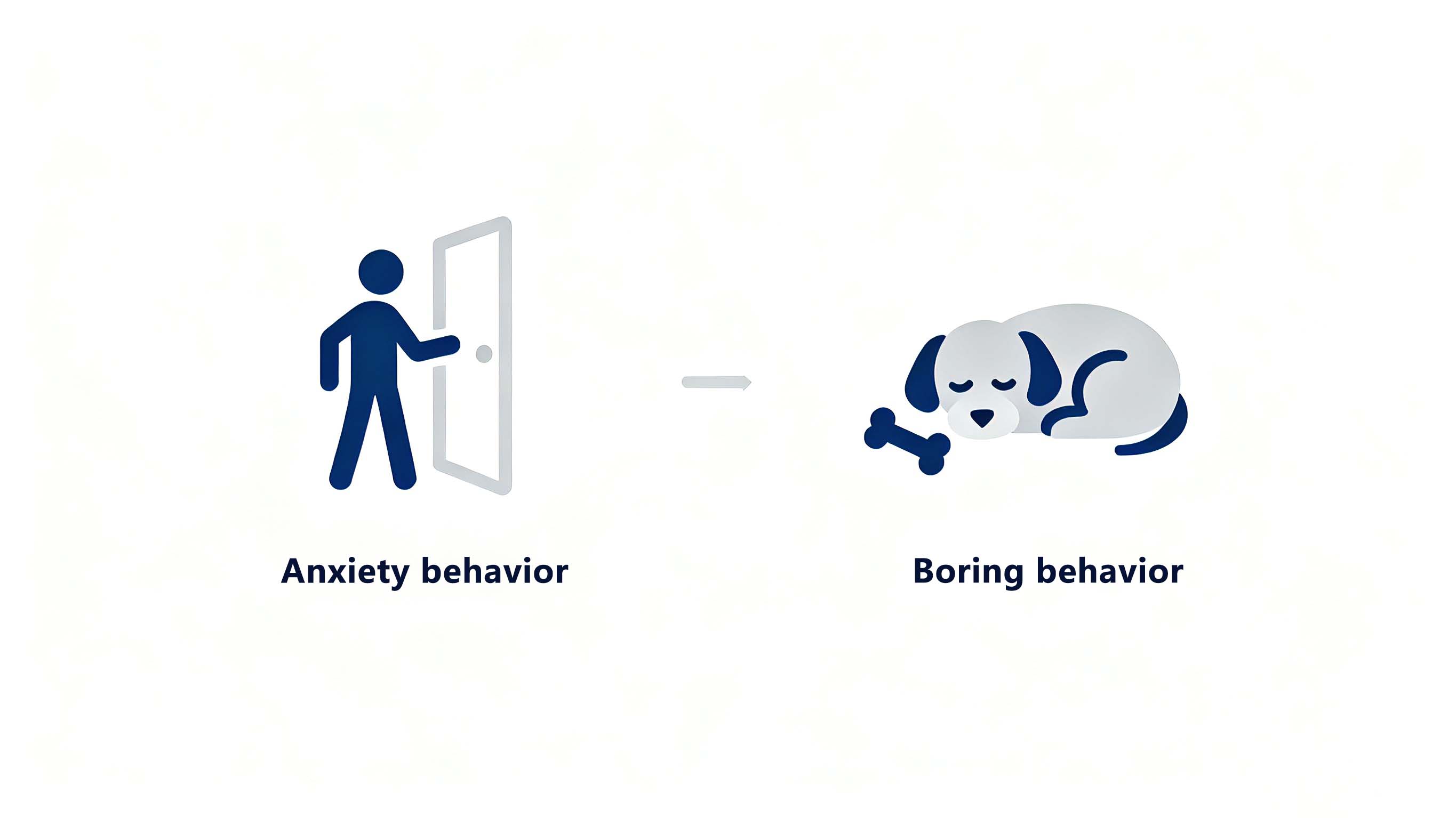 Anxious dog behaviors