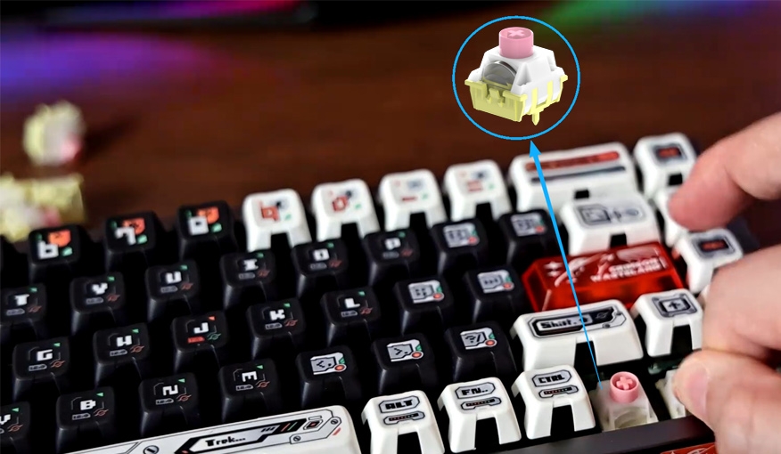 polar magnetic keyboard switch in keyboard