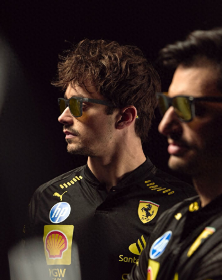 Wayfarer Sunglasses Special Edition(Carbon Fiber)