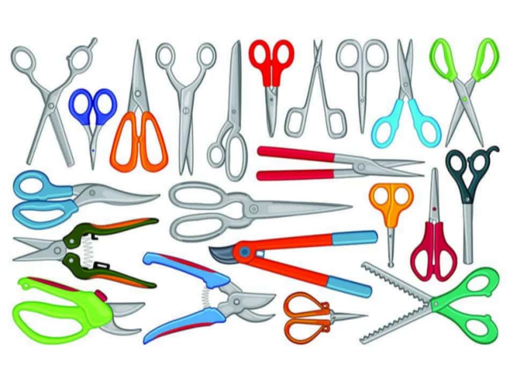 Different types of scissors including kitchen scissors sewing scissors garden shears and office scissors