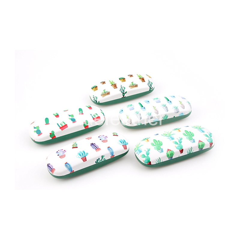 Potted Colorful Cactus Hard Spectacle Case for Children