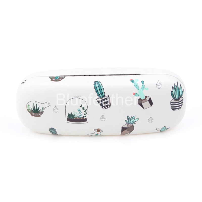 Blue Cactus Bonsai Ball Cactus Hard Optical Case for Students