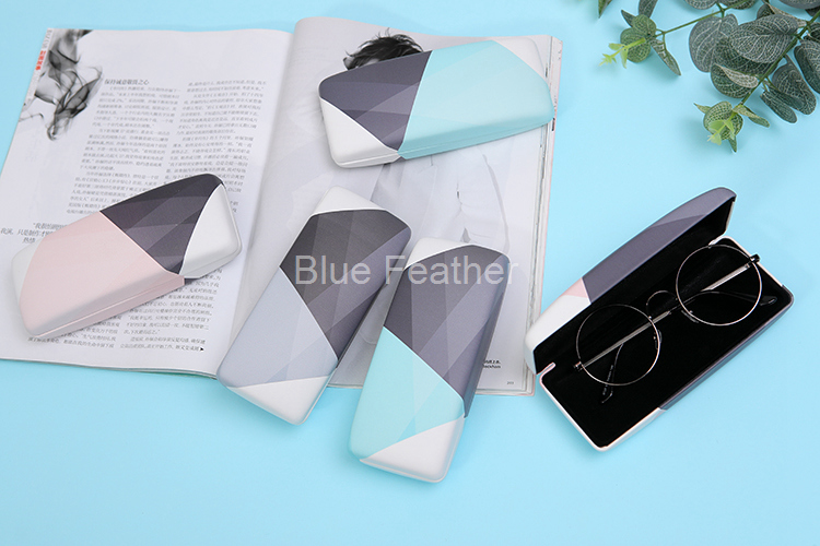 Hard Shell Geometric Eyewear Case with Pastel Accents for Stylish Users