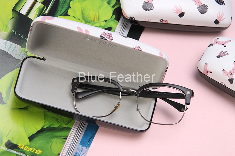 Durable Cactus Hard Shell Spectacle Case for Daily Protection
