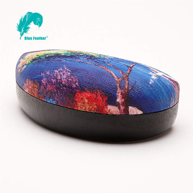Protective Printed Hard Shell Sunglasses Case for Daily Carry