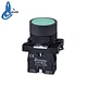 electric push button switch