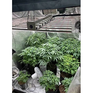 Full Spectrum1200w house plants led Grow Light for Medical Plants All Stages