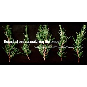 Rosemary Extract