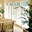 plantation shutter