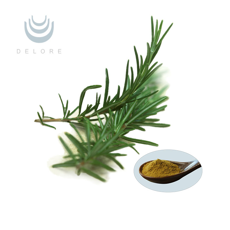Rosemary Extract
