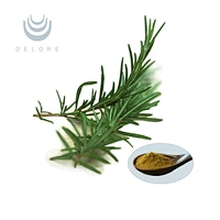 Rosemary Extract
