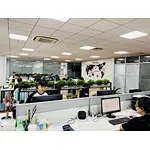 Why should you buy from us not from other suppliers?