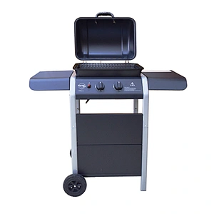 Outdoor Gas Grill BGG05
