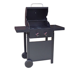 Outdoor Gas Grill