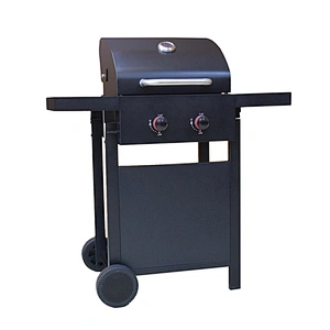 Outdoor Gas Grill