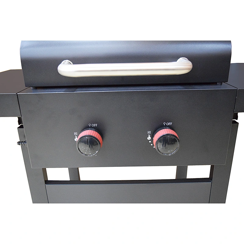 Outdoor Gas Grill