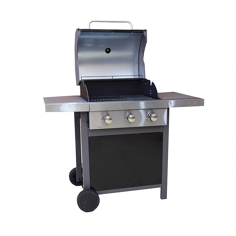 Outdoor Gas Grill BGG09