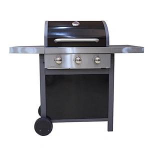 Outdoor Gas Grill BGG09