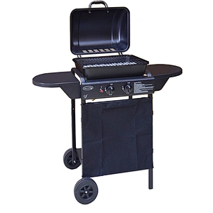 Outdoor Gas Grill BGG04