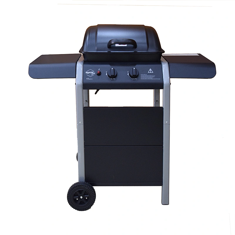 Outdoor Gas Grill BGG05