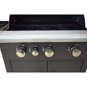 Outdoor Gas Grill