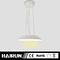 Led ceiling light; 30W ceiling light; Modern led light