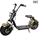 electric certification