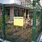  fence panel