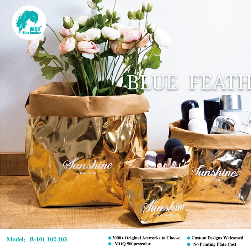 Kraft paper storage bag